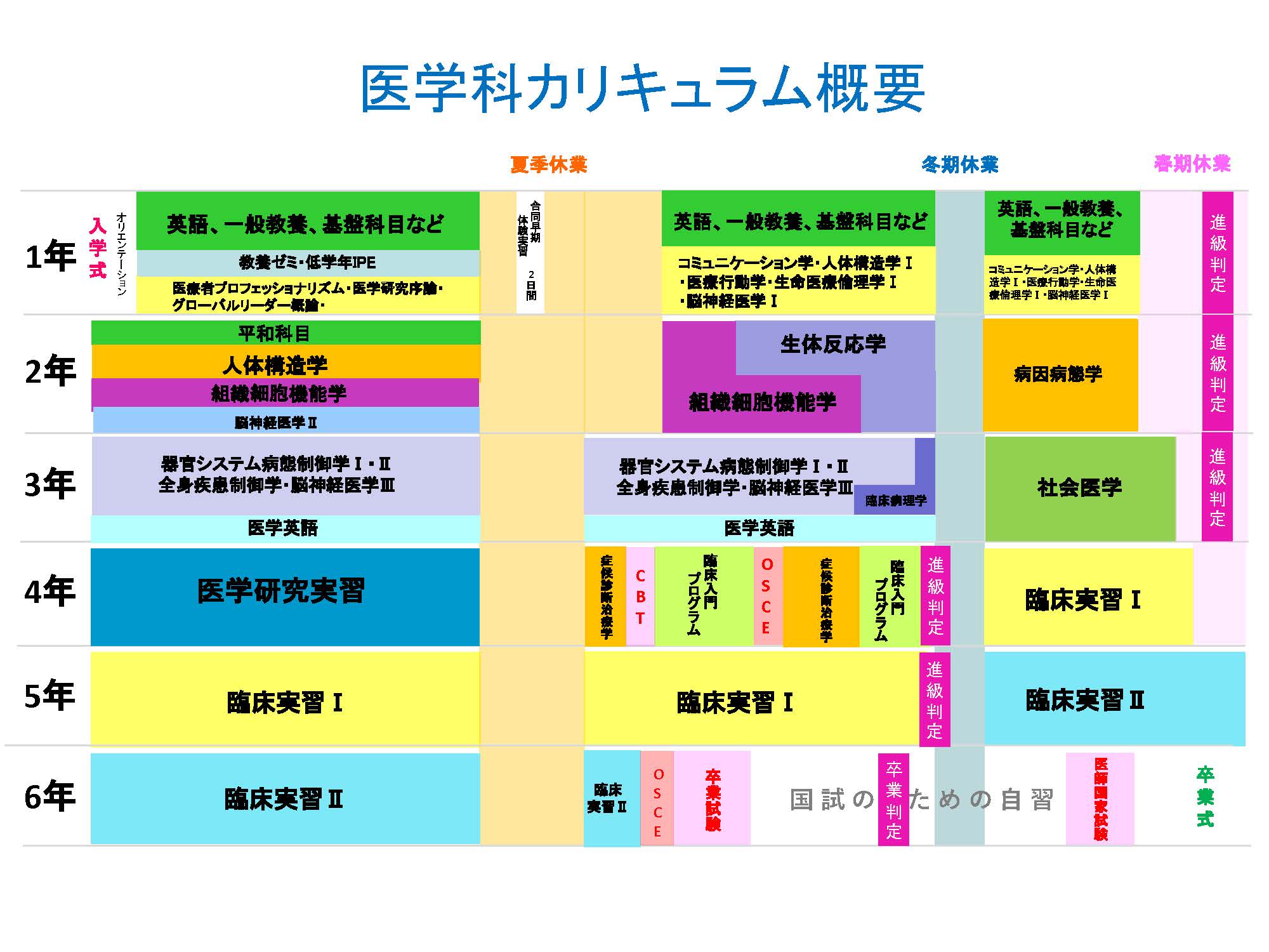 医学科カリキュラム概要